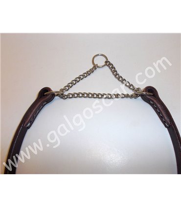Collar perro cuero plano exposición semiahogue cadena