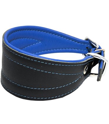 Collar galgo cuero Neon. Varios colores