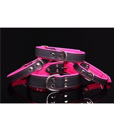 Collar perro cuero Neon. Varios colores y medidas