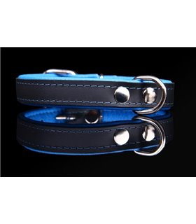 Collar perro cuero Neon. Varios colores y medidas