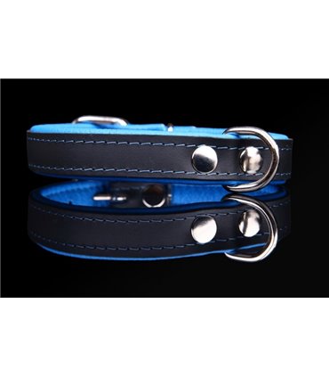 Collar perro cuero Neon. Varios colores y medidas
