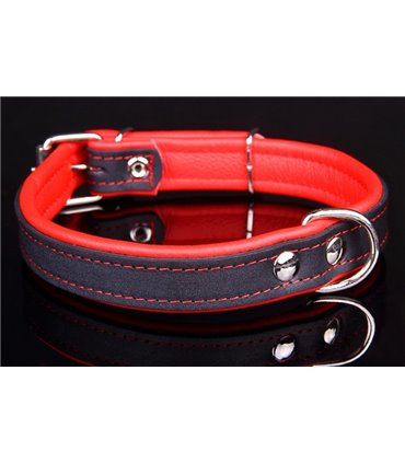 Collar perro cuero Neon. Varios colores y medidas