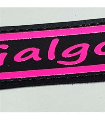 Collar galgo y whippet  negro  personalizado en diferentes medidas y colores , glitter o neón.  Para galgo, whippet y piccolo,